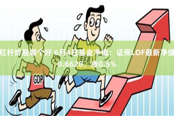 杠杆炒股哪个好 6月4日基金净值：证保LOF最新净值0.6628，涨0.5%