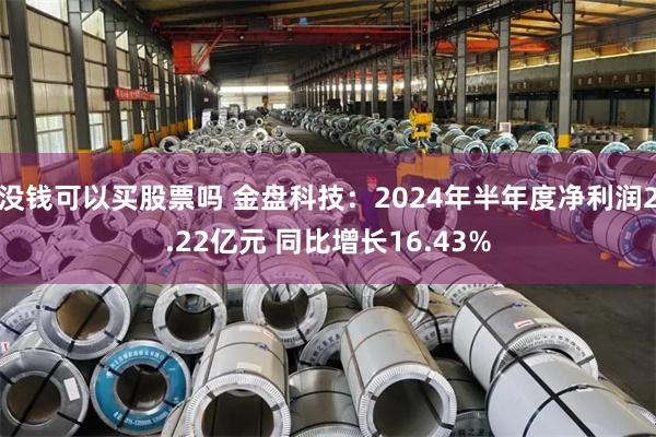 没钱可以买股票吗 金盘科技：2024年半年度净利润2.22亿元 同比增长16.43%