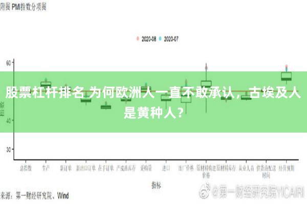 股票杠杆排名 为何欧洲人一直不敢承认，古埃及人是黄种人？