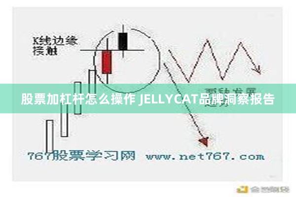 股票加杠杆怎么操作 JELLYCAT品牌洞察报告