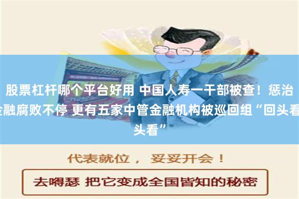 股票杠杆哪个平台好用 中国人寿一干部被查！惩治金融腐败不停 更有五家中管金融机构被巡回组“回头看”