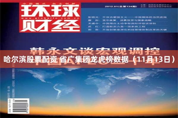 哈尔滨股票配资 省广集团龙虎榜数据（11月13日）