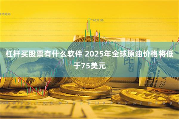 杠杆买股票有什么软件 2025年全球原油价格将低于75美元